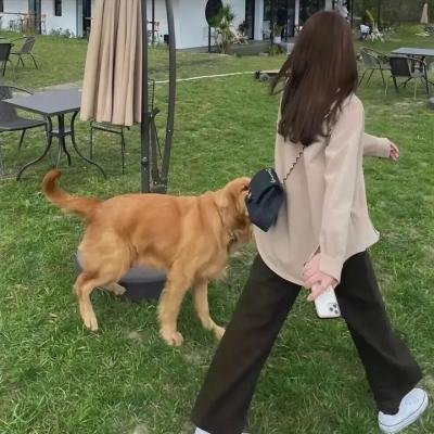 阿根廷之恋